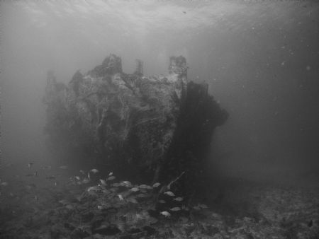 wreck the benwood key largo florida natural lite by Patty Miller 