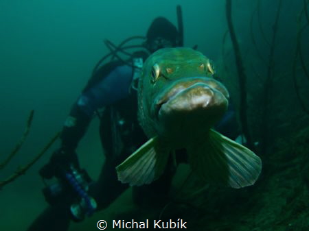 Pike and a diver. by Michal Kubík 