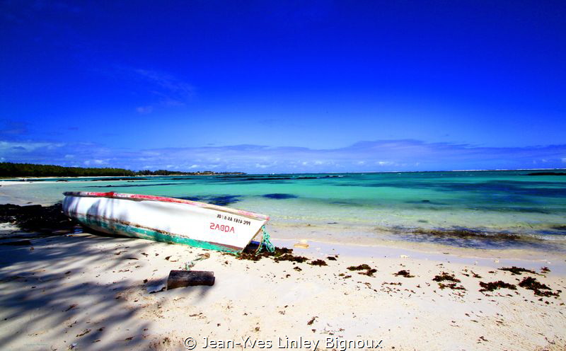 Jean-Yves Linley Bignoux
Mauritius Canon 7D ,Soulliac be... by Jean-Yves Linley Bignoux 