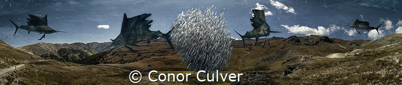 "The Hunt" part of my Underwater Surrealism series. Panor... by Conor Culver 