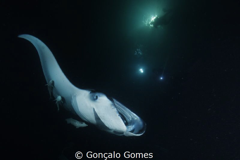 Manta noite by Gonçalo Gomes 