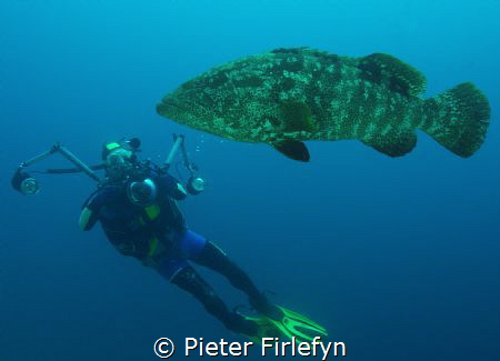Grouper! by Pieter Firlefyn 
