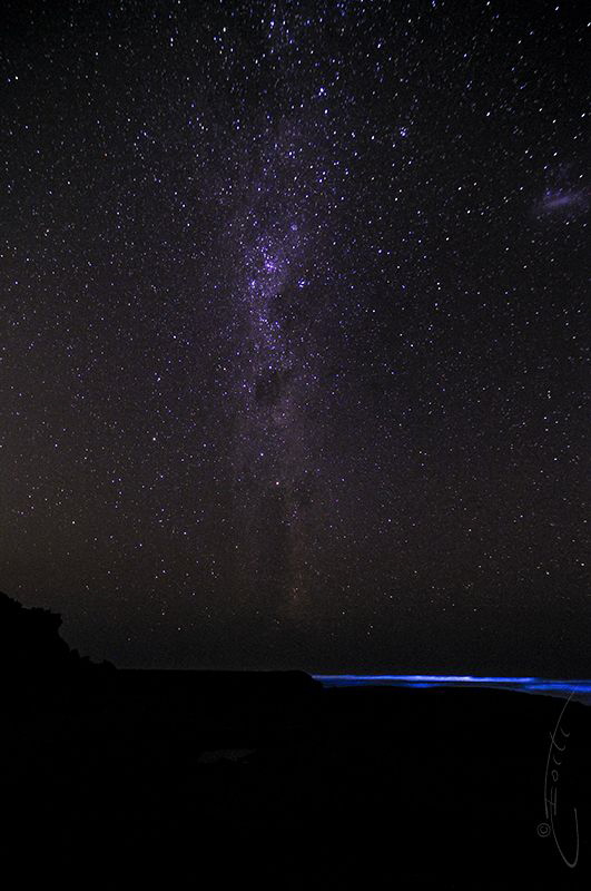 ~ Electric Blue ~

In celebration and support of Earth ... by Geo Cloete 