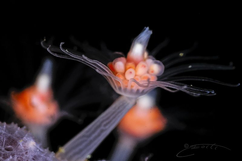 ~ Under the Radar ~ by Geo Cloete 