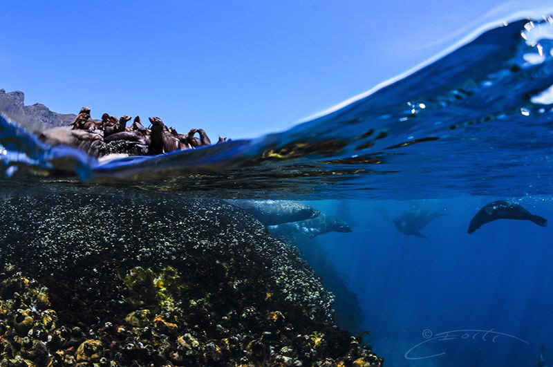 ~ Duel Worlds ~ by Geo Cloete 