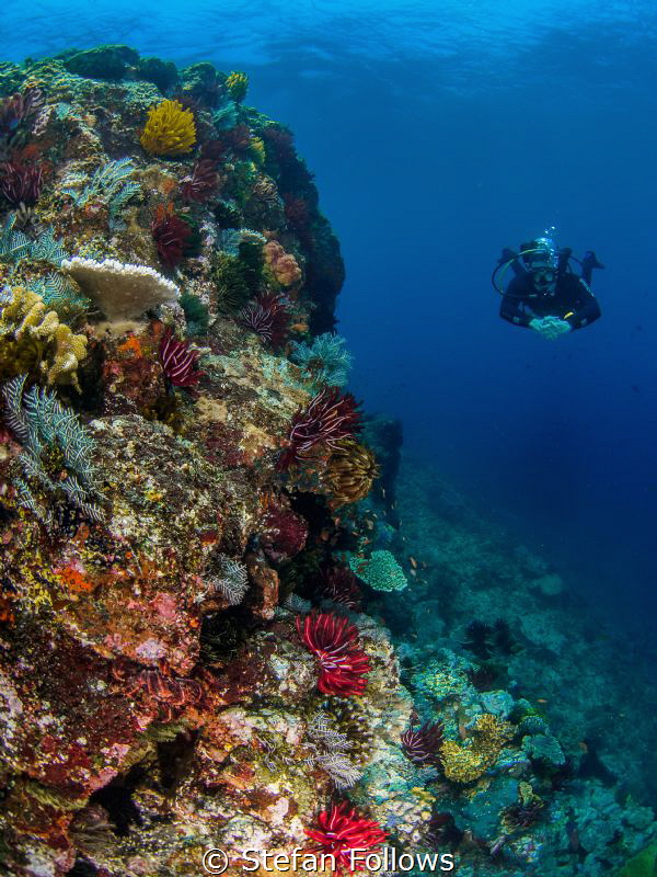 Magic ... ! Gilli Mimpang, Bali, Indonisia by Stefan Follows 