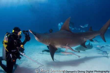 These things should come with a warning " Things in the v... by Marc Damant 