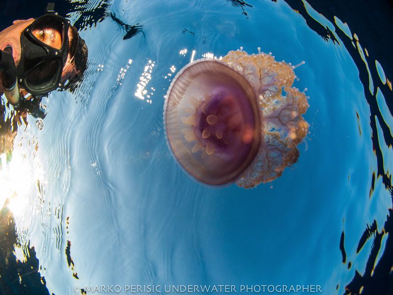EYE ON THE !! by Marko Perisic 