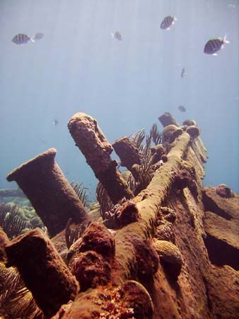 One of the few shots I managed to get on the Cristobal Co... by Jonathan Whitefield 