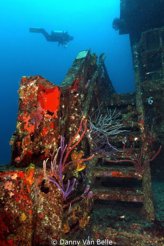 Chien Tong wreck - St. Eustatius by Danny Van Belle 