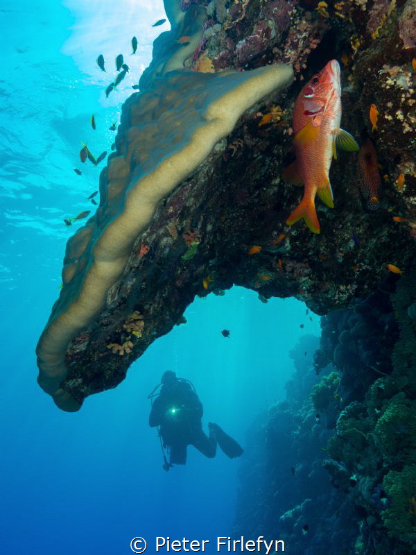 Red sea / Sudan by Pieter Firlefyn 