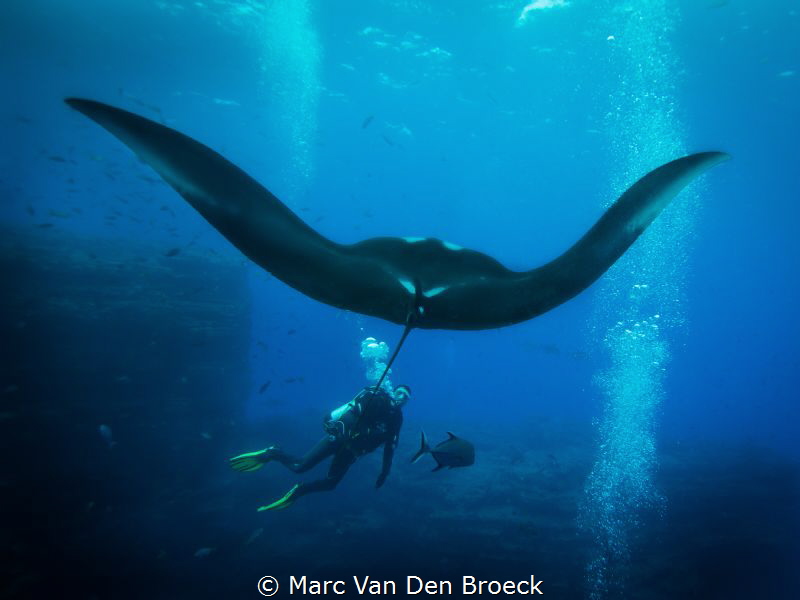roca partida diver by Marc Van Den Broeck 