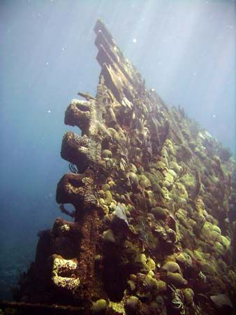 Another part of the superstructure of the Cristobal Colon... by Jonathan Whitefield 