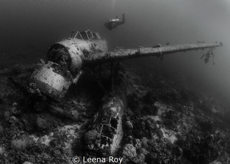 jack sea plane,palau by Leena Roy 