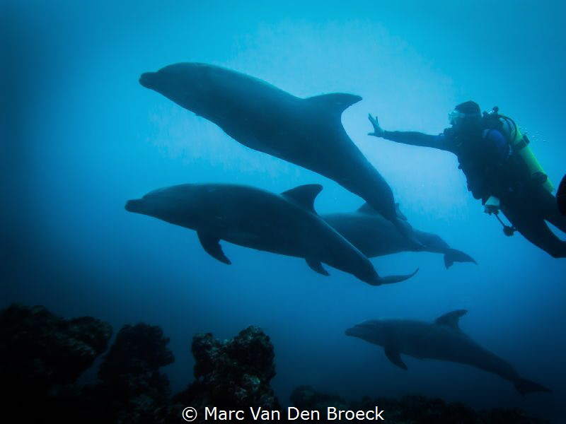 magical moments by Marc Van Den Broeck 