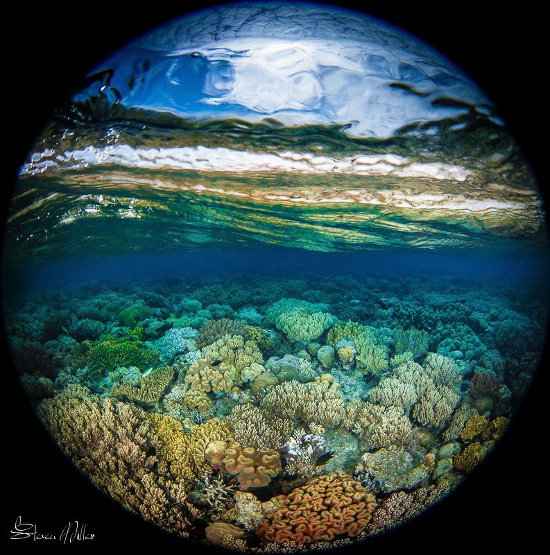 Kaleidoscope. by Steven Miller 