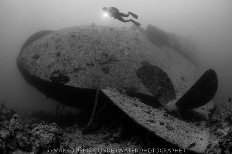 THISTLEGORM by Marko Perisic 