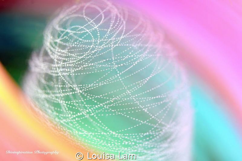 Colours Alive by Louisa Lam 