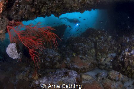 ~ Wide Open ~
Cape Towns wide angle options are just as ... by Arne Gething 