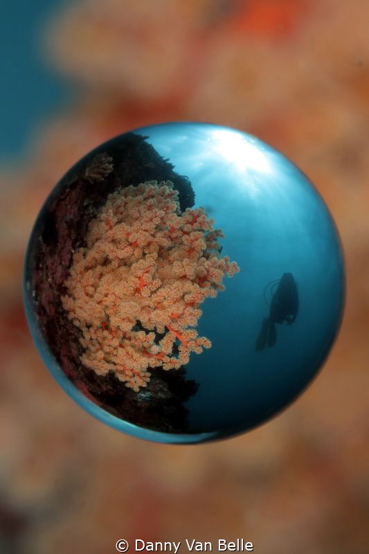 Unusual wide angle picture with magic ball lens by Danny Van Belle 