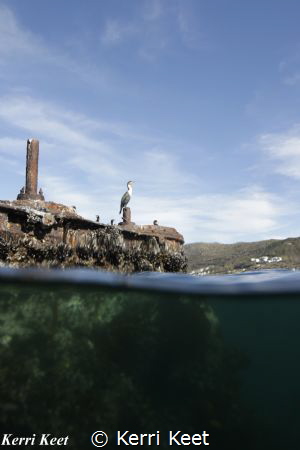 he engine block of the Clan Stuart is above the water lin... by Kerri Keet 