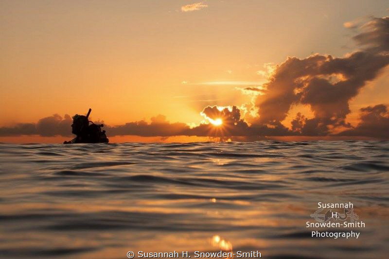 "After The Dive"
We surfaced from a magical dive to this... by Susannah H. Snowden-Smith 