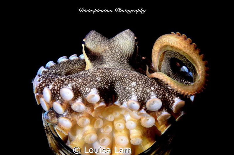 Stretching by Louisa Lam 