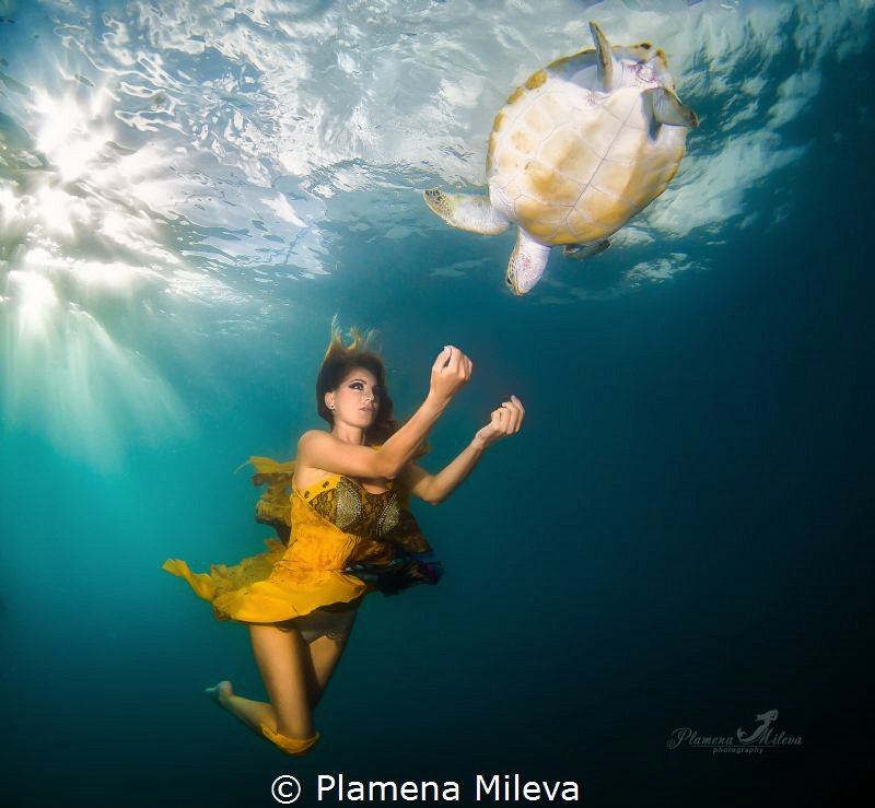 Closer
Canon 5D Mark III,Ikelite housing, Ikelite strobe... by Plamena Mileva 