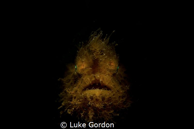 The Hairy Angler by Luke Gordon 