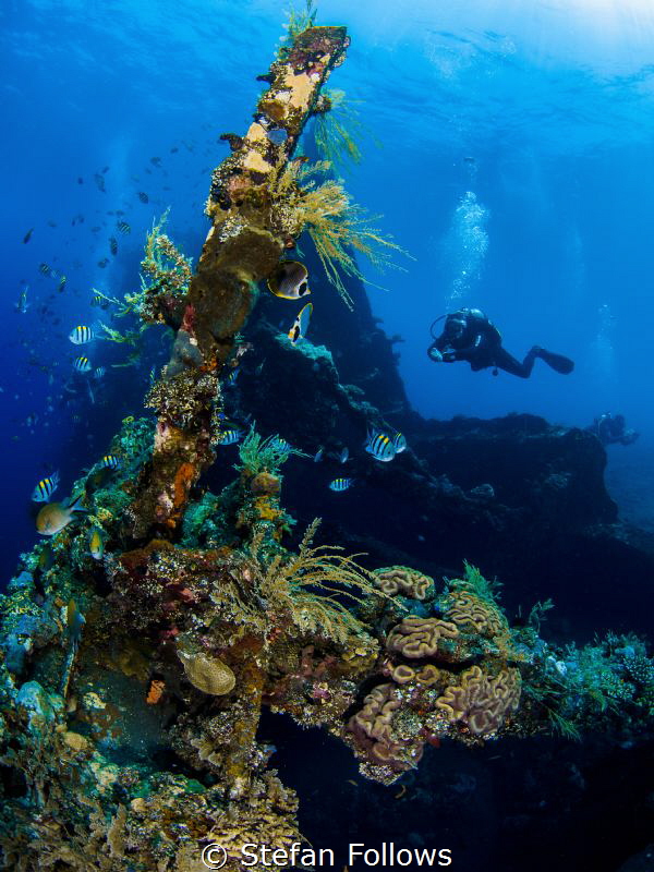 Sweet Liberty VII

Liberty Wreck, Bali by Stefan Follows 