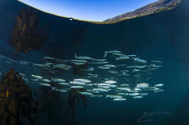 ~ Winter Bliss ~

 by Geo Cloete 