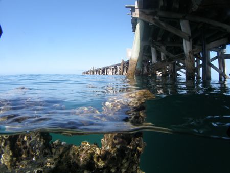 One Mile Jetty Carnarvon Western Australia 2006 by Brad Cox 