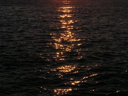 taken in Kiama NSW Australia by Isaac Wall 