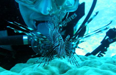 lion fish & diver by Milan Zurkovic 