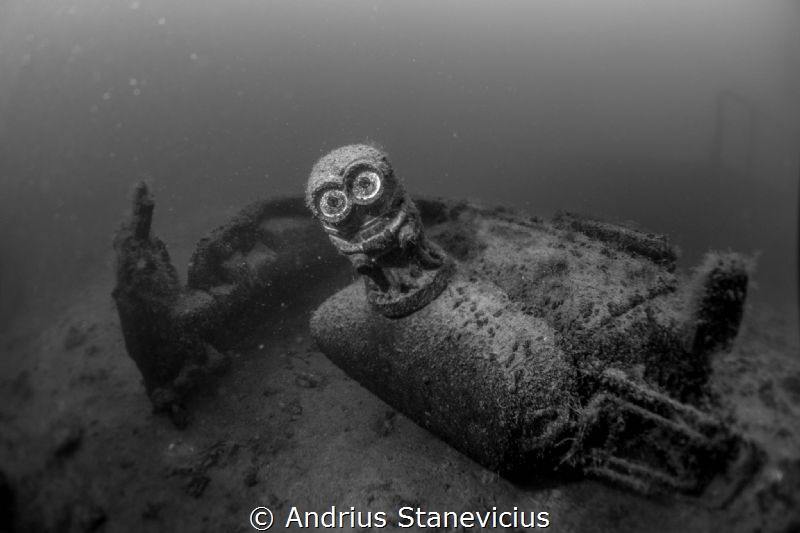 King BOB by Andrius Stanevicius 
