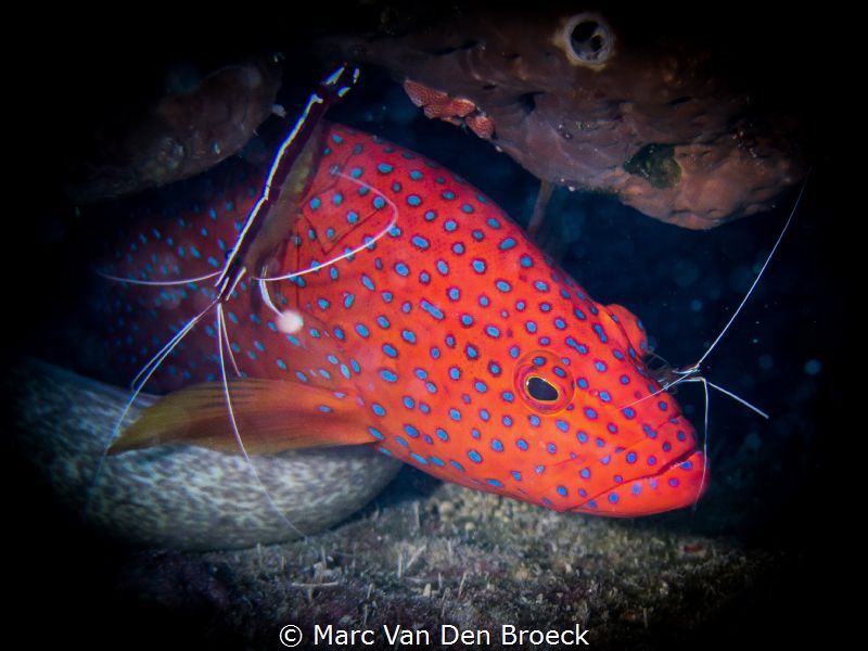 cleaning by Marc Van Den Broeck 