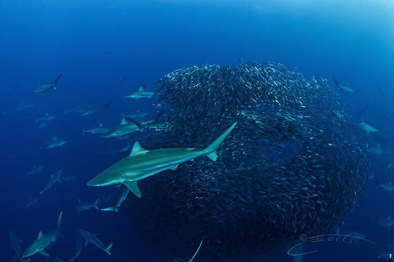 ~ Boxed In ~
This photo illustrates the three dimensiona... by Geo Cloete 