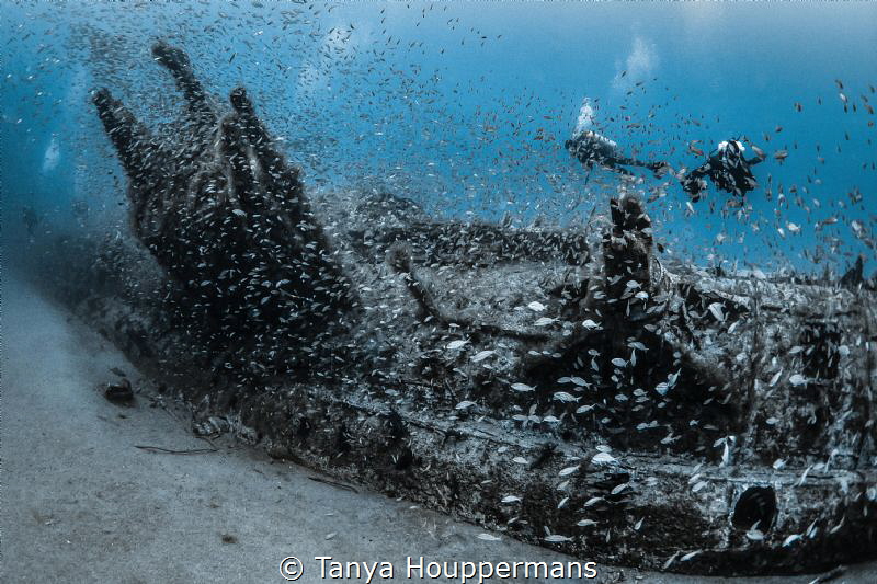 'Refuge' - The U352 off the coast of North Carolina is ho... by Tanya Houppermans 