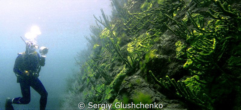 Lake Baikal. by Sergiy Glushchenko 
