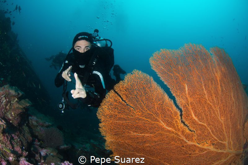 UNDERWATER NINJA by Pepe Suarez 