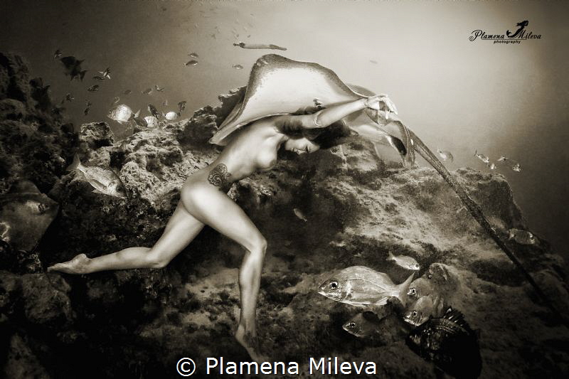 "Fusion" by Plamena Mileva 