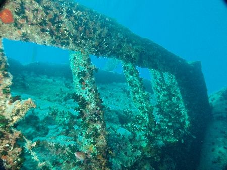 Part of Thistlegorm taken with Olympus C60 by Nikki Van Veelen 