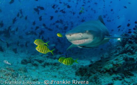 The Lady with a big smile! by Frankie Rivera 