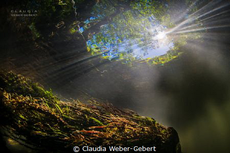 lovely freshwater
river Nims - Germany, Eifel region by Claudia Weber-Gebert 