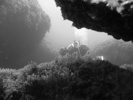 A Beautifull Picture Of The Maltese Deep Waters While Doi... by Christopher Cocks 