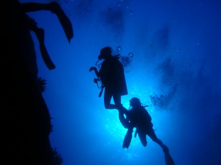 Divers. by Charlie Bird 