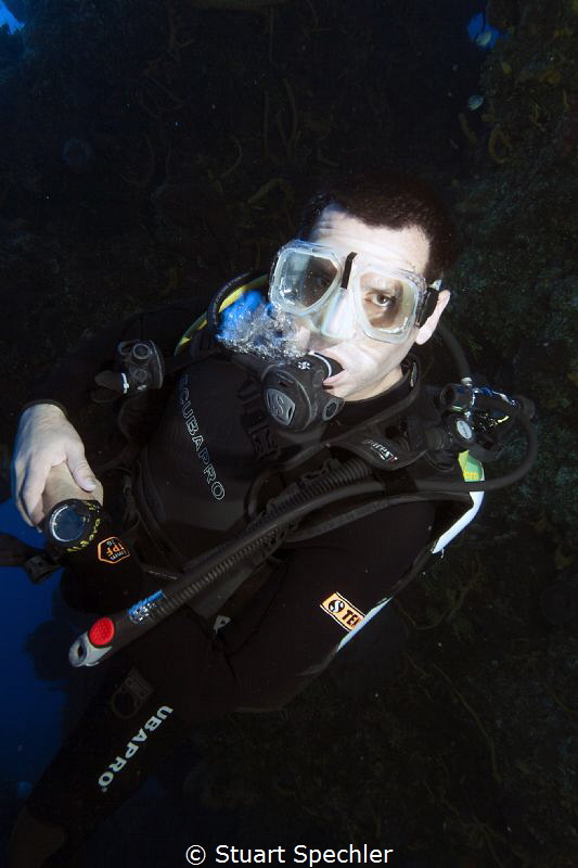 A very focused diver slowly ascending from the depths.  H... by Stuart Spechler 