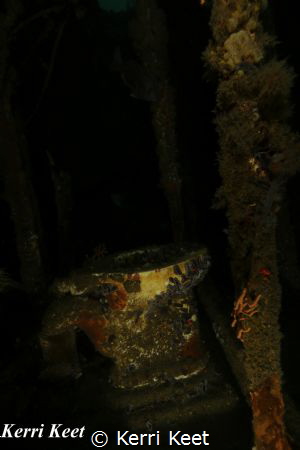 I have a special fascination for toilets underwater and t... by Kerri Keet 