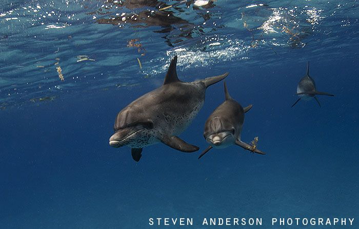 Images and sights like this make a long run worthwhile fr... by Steven Anderson 