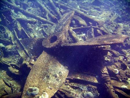 One of the propellers on Bermuda's largest shipwreck, the... by Jonathan Whitefield 